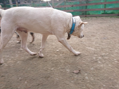 f:id:roukenhome-ann:20190224052825j:plain
