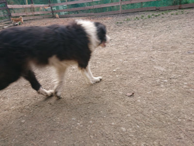 f:id:roukenhome-ann:20190224052831j:plain