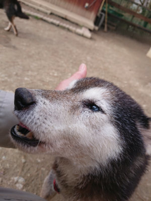 f:id:roukenhome-ann:20190224052854j:plain
