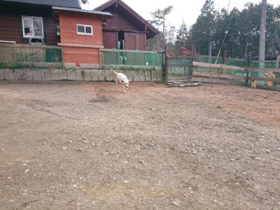 f:id:roukenhome-ann:20190224052859j:plain