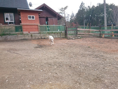 f:id:roukenhome-ann:20190224052915j:plain