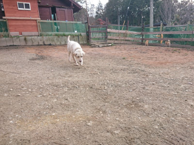 f:id:roukenhome-ann:20190224052921j:plain