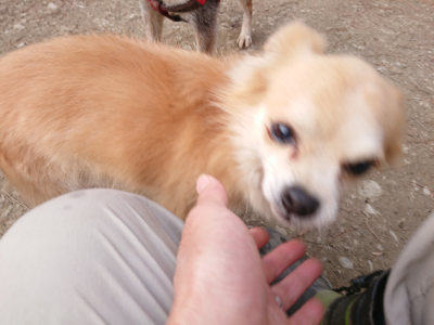f:id:roukenhome-ann:20190224052950j:plain