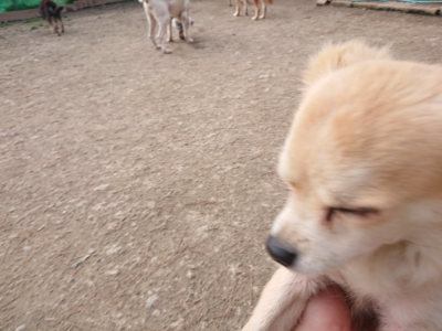 f:id:roukenhome-ann:20190224052956j:plain