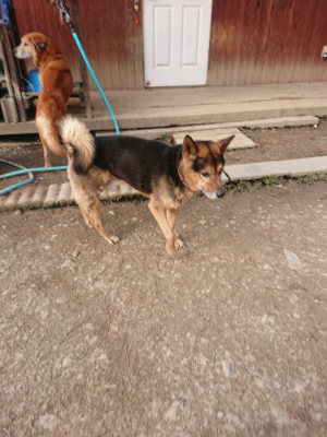 f:id:roukenhome-ann:20190224053008j:plain