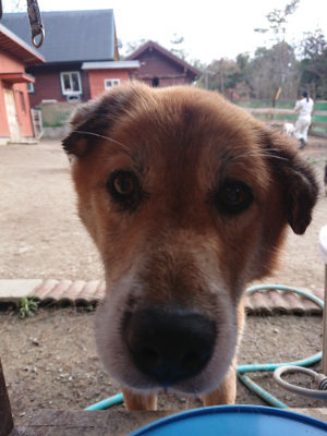 f:id:roukenhome-ann:20190224053041j:plain