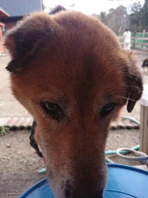 f:id:roukenhome-ann:20190224053046j:plain