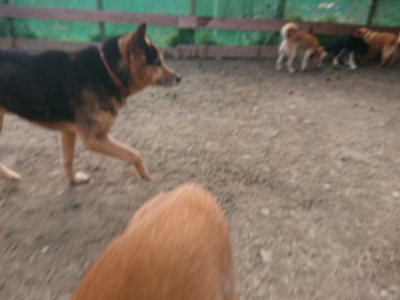 f:id:roukenhome-ann:20190224053118j:plain