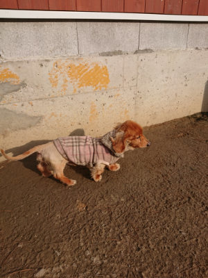 f:id:roukenhome-ann:20190224053236j:plain