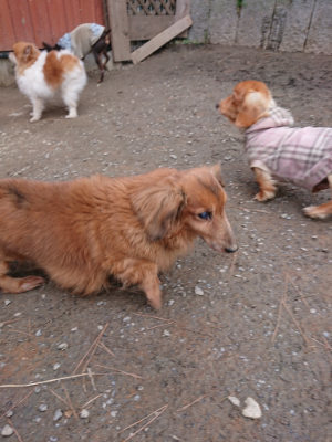 f:id:roukenhome-ann:20190224053243j:plain