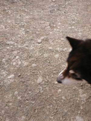 f:id:roukenhome-ann:20190224053331j:plain