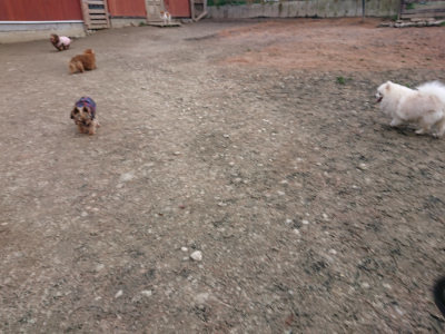 f:id:roukenhome-ann:20190224053346j:plain