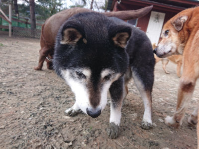 f:id:roukenhome-ann:20190224053403j:plain