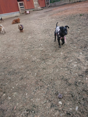 f:id:roukenhome-ann:20190224053416j:plain