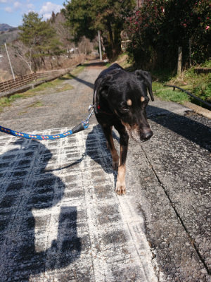 f:id:roukenhome-ann:20190224053439j:plain