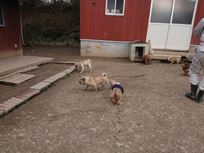f:id:roukenhome-ann:20190224053444j:plain