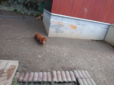 f:id:roukenhome-ann:20190224053450j:plain
