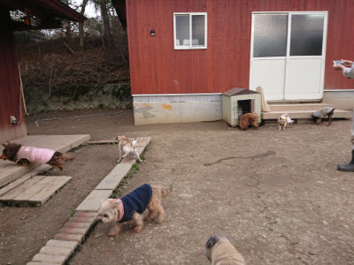 f:id:roukenhome-ann:20190224053542j:plain