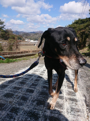f:id:roukenhome-ann:20190224053558j:plain