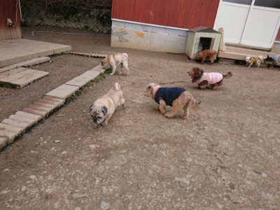 f:id:roukenhome-ann:20190224053633j:plain