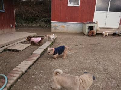 f:id:roukenhome-ann:20190224053637j:plain