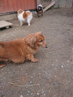 f:id:roukenhome-ann:20190224053726j:plain