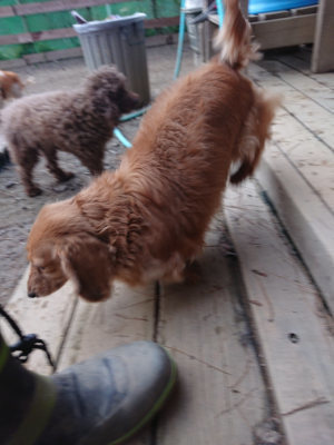 f:id:roukenhome-ann:20190224053731j:plain
