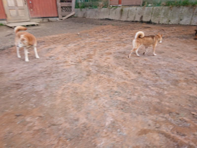 f:id:roukenhome-ann:20190224070747j:plain
