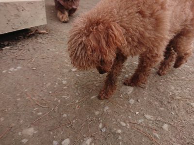 f:id:roukenhome-ann:20190224071101j:plain