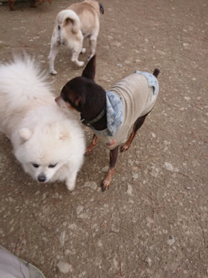 f:id:roukenhome-ann:20190224071107j:plain