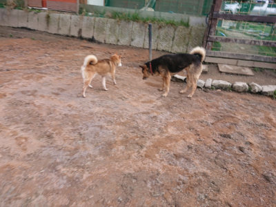 f:id:roukenhome-ann:20190224071224j:plain