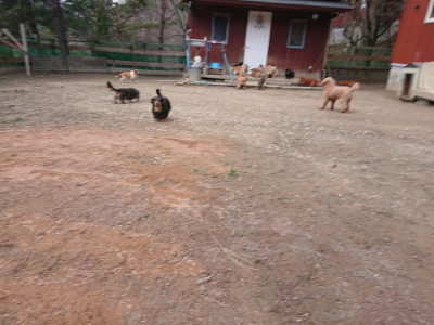 f:id:roukenhome-ann:20190224073541j:plain