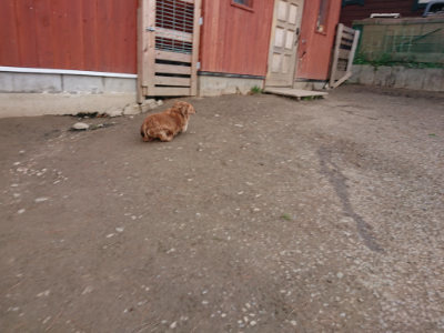 f:id:roukenhome-ann:20190224073547j:plain