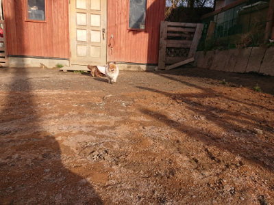 f:id:roukenhome-ann:20190224073557j:plain