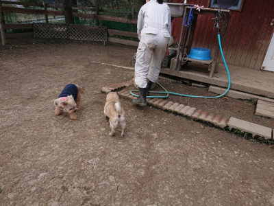 f:id:roukenhome-ann:20190224073604j:plain