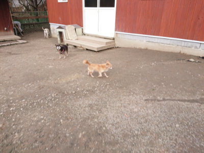 f:id:roukenhome-ann:20190224073647j:plain