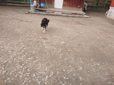 f:id:roukenhome-ann:20190224073652j:plain