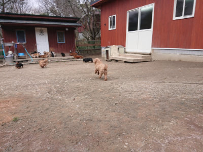f:id:roukenhome-ann:20190224073703j:plain
