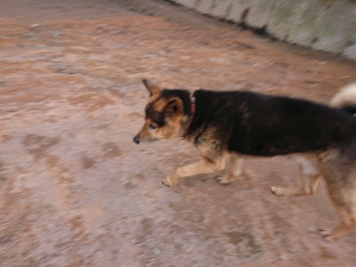 f:id:roukenhome-ann:20190224073723j:plain