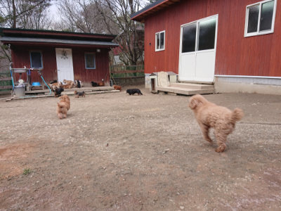 f:id:roukenhome-ann:20190224073750j:plain