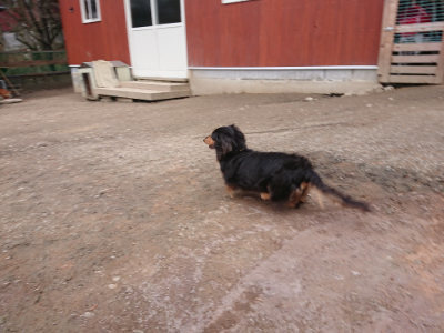 f:id:roukenhome-ann:20190224073808j:plain