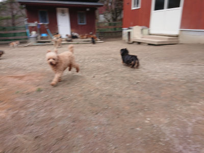 f:id:roukenhome-ann:20190224073813j:plain