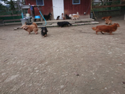 f:id:roukenhome-ann:20190224073819j:plain