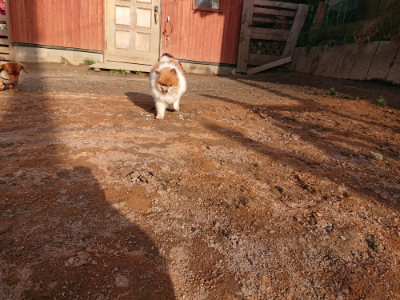 f:id:roukenhome-ann:20190224073830j:plain