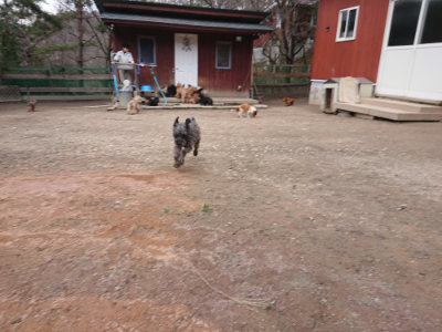 f:id:roukenhome-ann:20190224073841j:plain