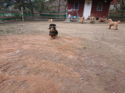 f:id:roukenhome-ann:20190224073902j:plain