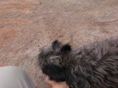 f:id:roukenhome-ann:20190224073908j:plain