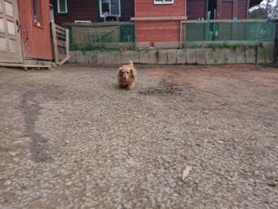 f:id:roukenhome-ann:20190224073913j:plain