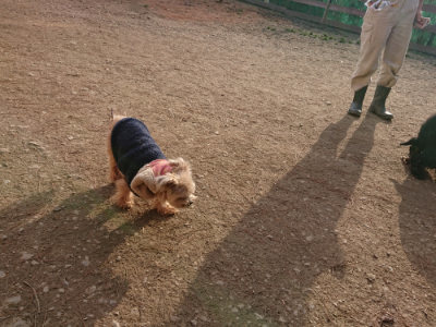 f:id:roukenhome-ann:20190224074513j:plain