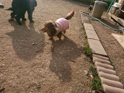 f:id:roukenhome-ann:20190224074520j:plain